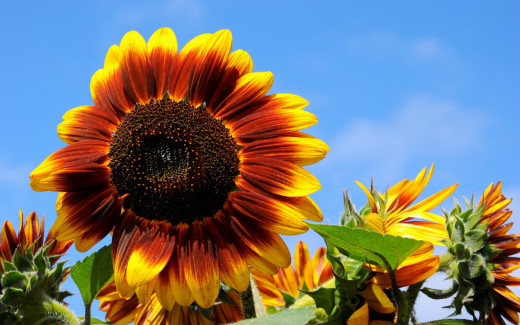 596377 (a): :1680x1050